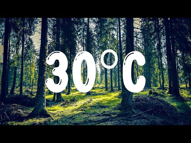 ANNA - 30ºC (Testo/Lyrics)