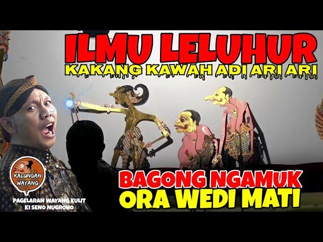 Bagong nggleleng lucu‼️ wayang kulit ki seno nugroho