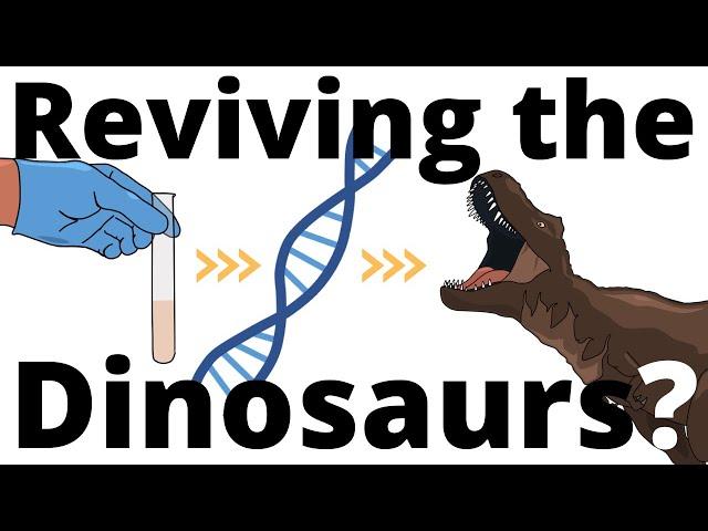 Jurassic Park in REAL LIFE? Could we "revive" Dinosaurs?