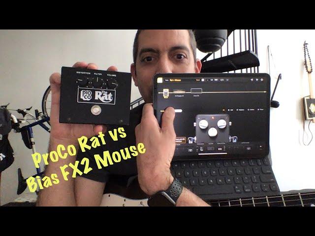 Rat or Mouse? ProCo vs Bias FX2 Mobile | Shamurai Reviews