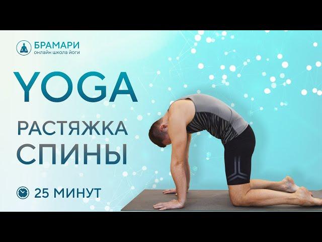Йога для растяжки спины • Йога для спины • Комплекс йоги для спины на 25 минут