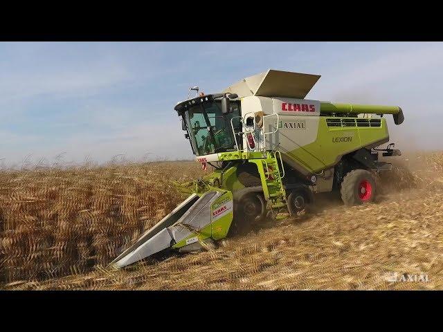 CLAAS LEXION 760TT [Bemutató Magyarországon kukoricában]