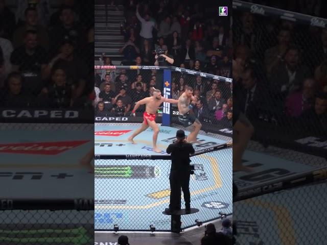 Jiri Prochazka vs Aleksandar Rakic | UFC 300 