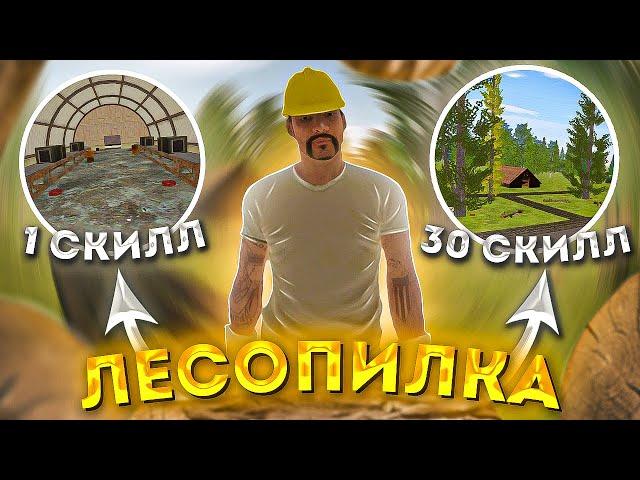 РАБОТАЮ 1 ЧАС ЛЕСОРУБОМ на АМАЗИНГ РП в GTA CRMP