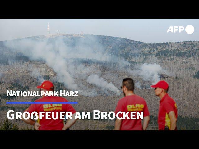 Großfeuer am Brocken im Nationalpark Harz | AFP