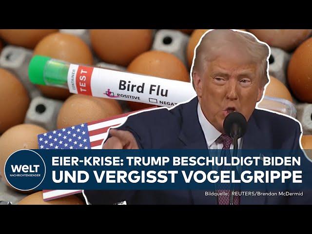 USA: Eier-Preise explodieren! 15 Dollar für zwölf Stück | Präsident Donald Trump beschuldigt Biden