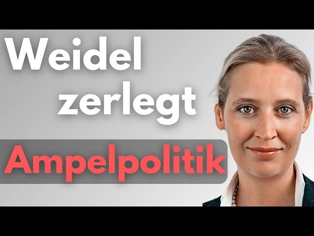 ⭐SUPER: ALICE WEIDEL zerlegt Ampelpolitik