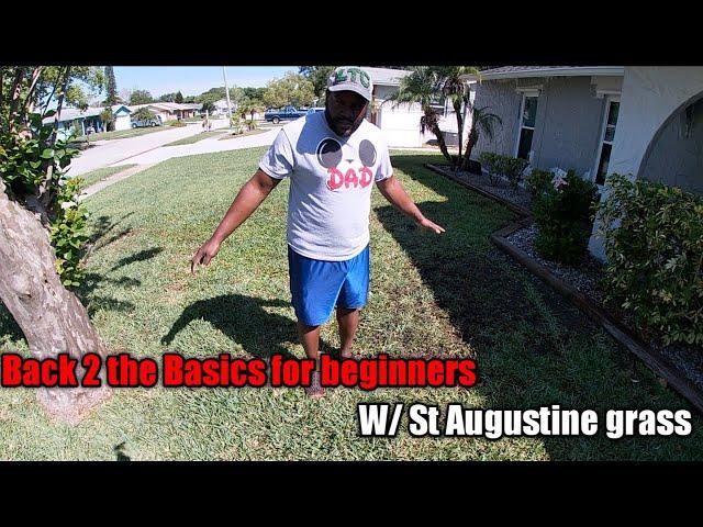 Weed & Feed for St Augustine Lawns | Using Turf Therapy App for the math