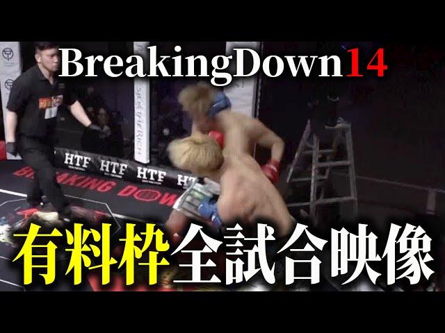 BreakingDown14 全試合映像公開【ブレイキングダウン14】【朝倉未来】