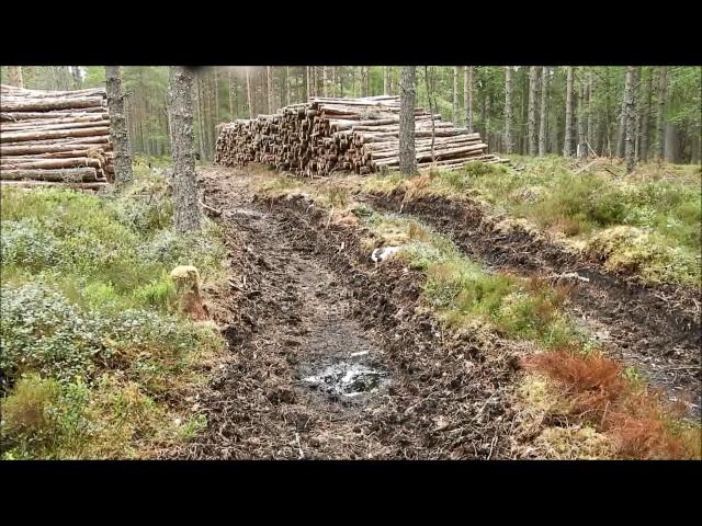 Mar Lodge Estate :: 'Fun With Machinery' Plantation at Linn of Dee (14JUN17)