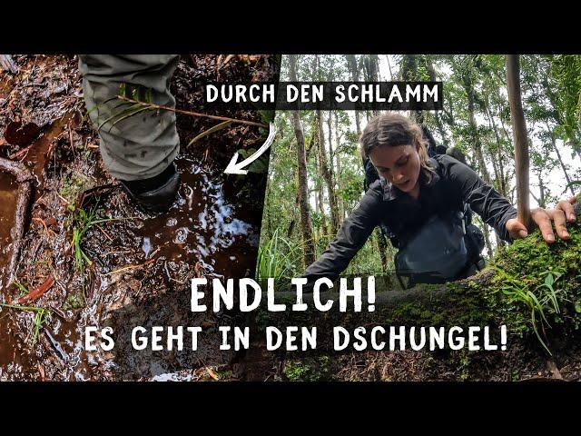 Tag 1+2  im ECHTEN Dschungel: Gipfelwandern zum Mount Murud! Dschungel-Expedition in Borneo