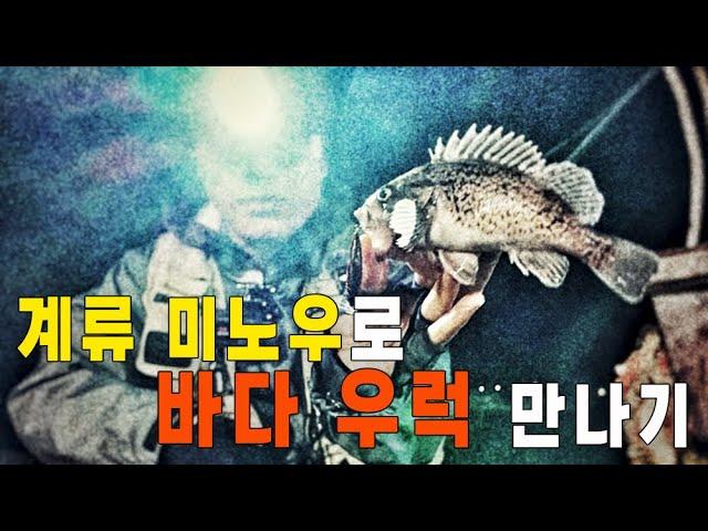 겨울 시즌 핫템" 우럭 미노잉/ 계류 미노우를 바다에서 던져 본다~ㅋㅋ