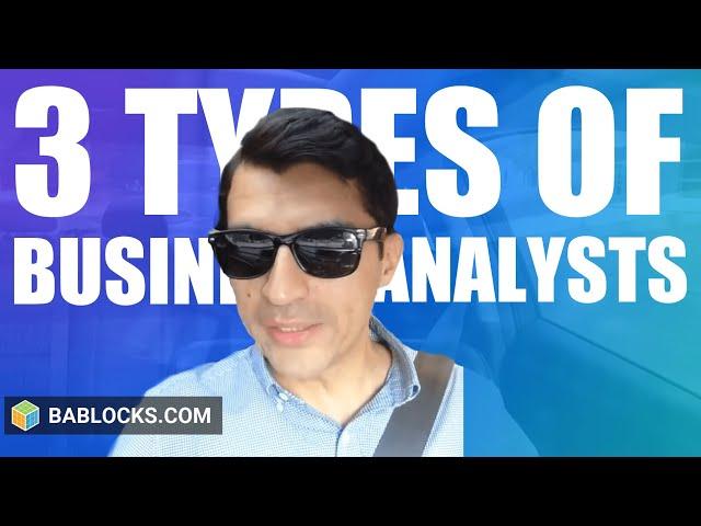 What Are The 3 Types Of Business Analysts? (The 3 BA Archetypes)
