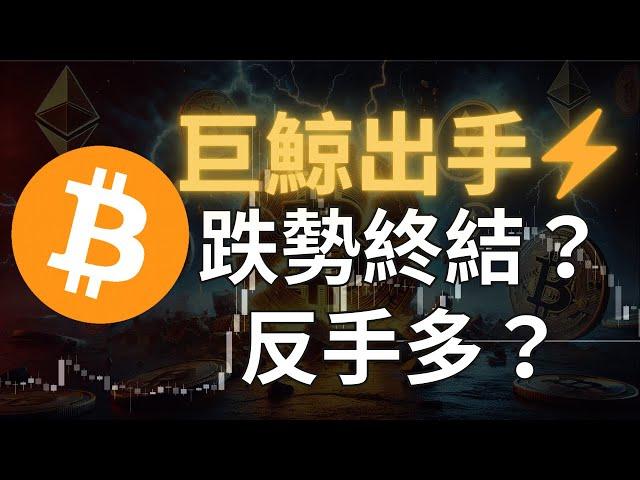 BTC 跌破 9 萬大關，巨鯨出手了！跌勢已經滿足，反手做多？｜【日日幣選】20250226 (三)