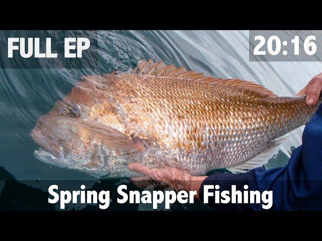 Spring Snapper Fishing