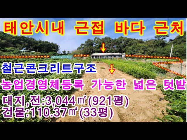 [매물번호471번]태안부동산(전원주택)태안시내 근접 갯벌바다 근처 뒷산배경 남동향의 텃밭 넓은 철근콘크리트 전원주택."4억원".041-673-9909.태안한빛부동산.