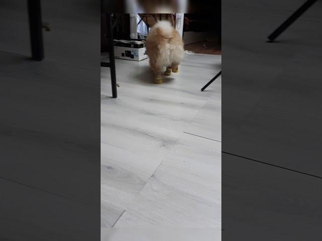 Утро помощника Санты :)