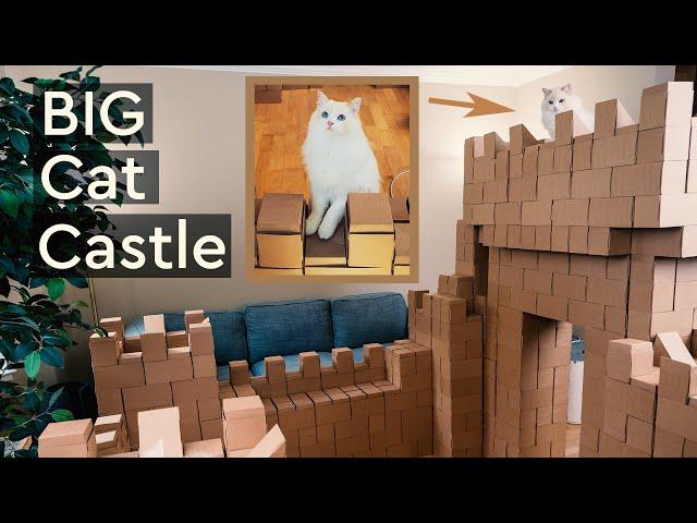 I Built a HUGE Cardboard Castle for My Ragdoll Cats | The Cat Butler