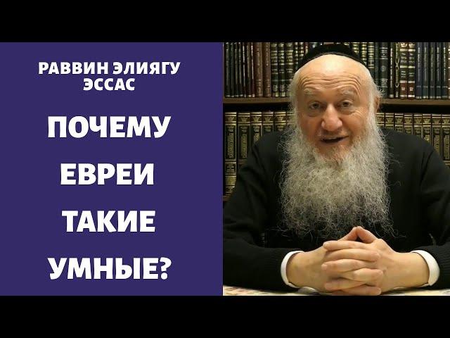 Почему евреи такие умные люди?