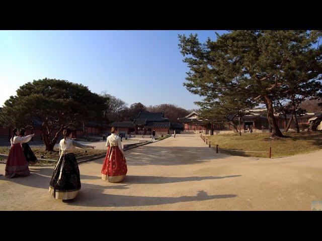 4K [ قصر تشانغيونغ ] Changgyeong Palace ~( 창경궁 함양문~) [ قصر تشانغدوك ] Changdeokgung Palace ( 창덕궁 )