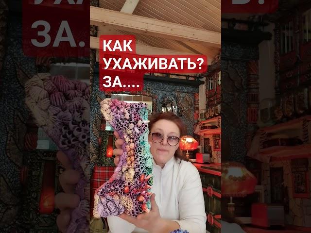 КАК УХАЖИВАТЬ?   ЗА...️️ #дом #бетон #барельеф #ручнаялепка