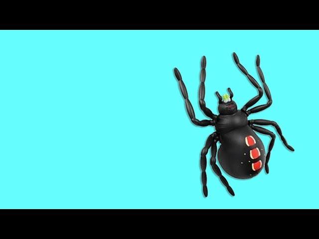 CAT GAMES - CATCHING spider (ENTERTAINMENT VIDEOS FOR CATS TO WATCH)