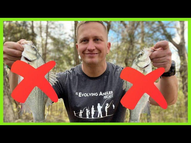 Why I Didn't Fish The White Bass Run 2024 and Channel Update