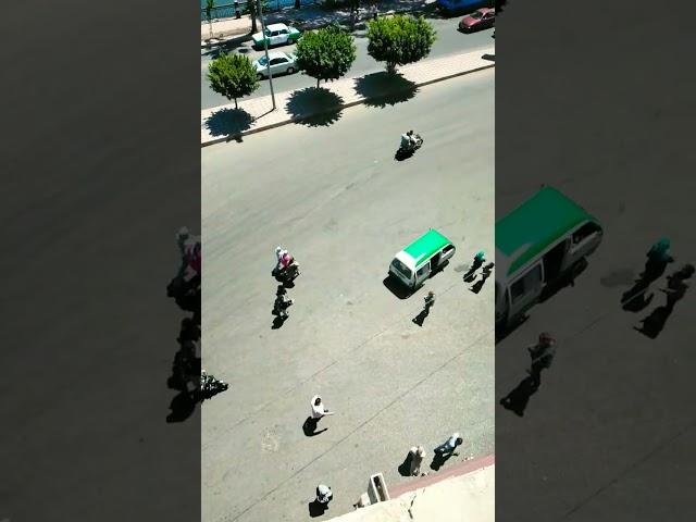 دمنهور