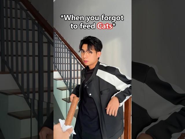 Cats is like our owner