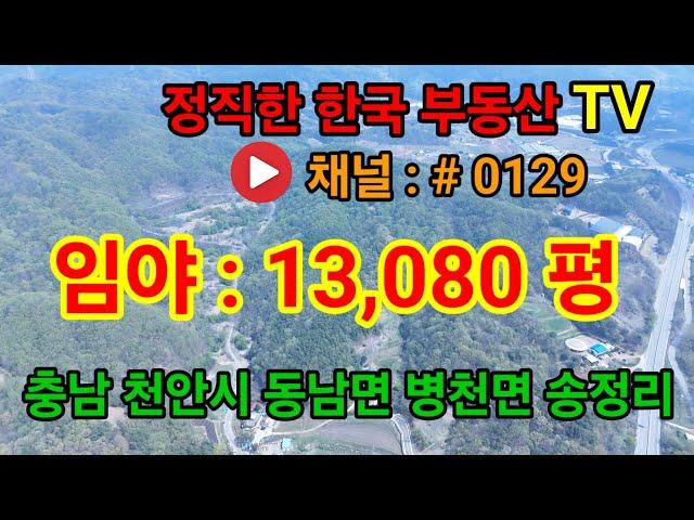 천안시 임야 매매 / 1만 3천 80 평