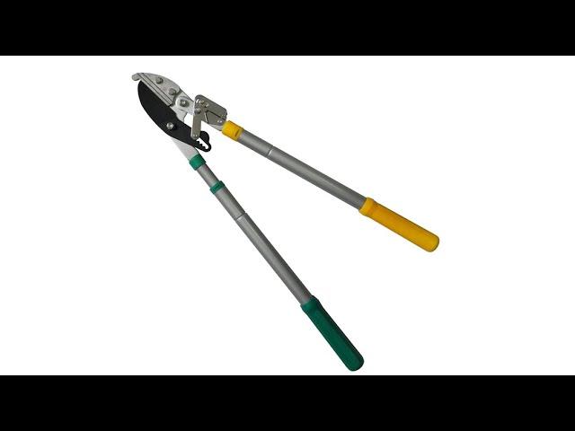 Heavy Duty Ratchet Telescopic Anvil Lopper | Cuts upto 1.7 inch thick