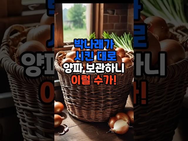 박나래가 시킨대로 양파 보관하니 이럴 수가! #건강 #이슈 #음식 #건강한중년 #지식#꿀팁 #지식