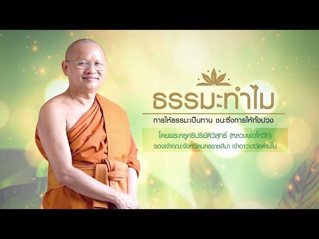 พระพุทธเจ้าค้นพบอะไร ตอนที่ (2/2) l ธรรมะทำไม EP1146