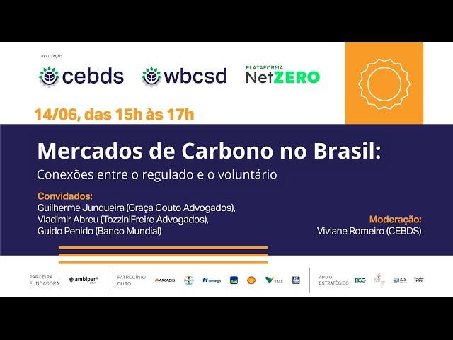 Mercados de carbono no Brasil: conexões entre regulado e voluntário