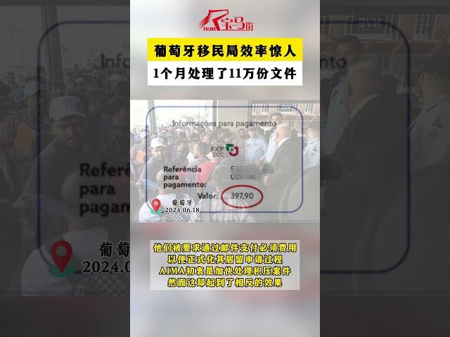 葡萄牙移民局效率惊人！1个月处理了11万份文件