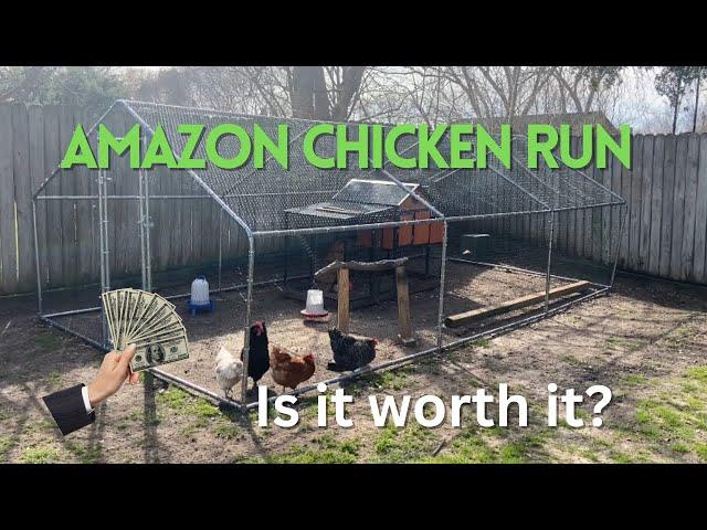 AMAZON CHICKEN RUN - Honest Review!