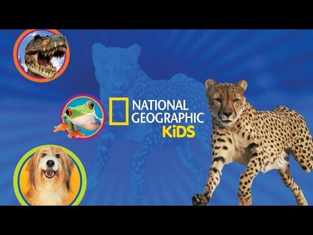 National Geographic Kids