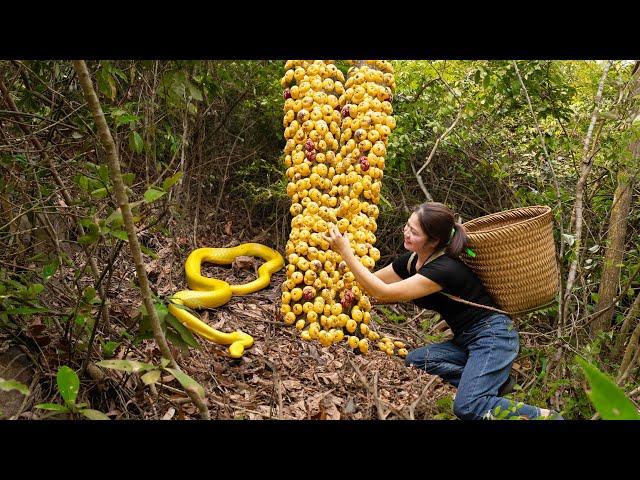 Collecting Gladiolus Tubers in Forest | Best Tips to Stir fry Pork Mushrooms | Goes To Market Sell