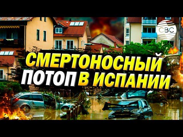 Наводнение в испанской Валенсии унесло жизни не менее 50 человек