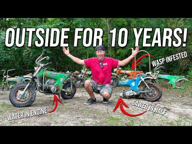 We Bought 6 Abandoned Honda CT70s for $1,000! Will they Run and Ride 100 Miles?