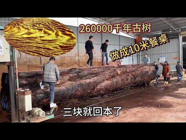 花260000买棵直径1.9米的千年古树，做成10米长的巨型餐桌，太震撼了