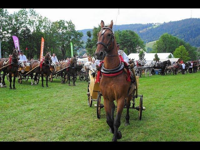 Parada na Równi Krupowej