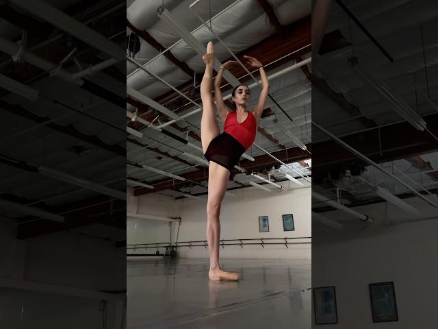 WHY WOULD I DO THAT #ballerina#ballet#comment#presentable#why#question#flexible#strength