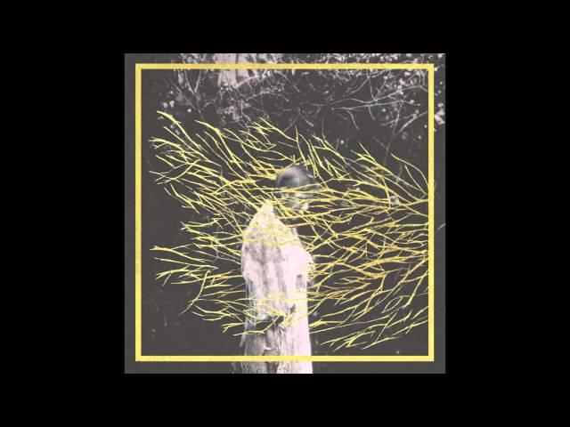 Forest Swords - Engravings [FULL ALBUM]