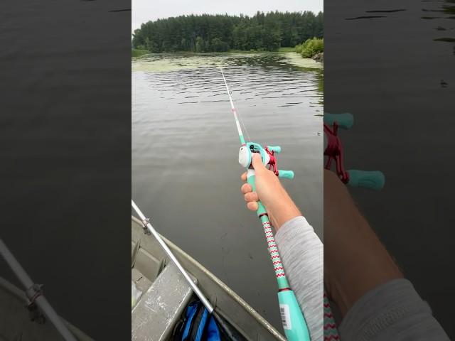 Way too satisfying  #bass #fishing #goodday