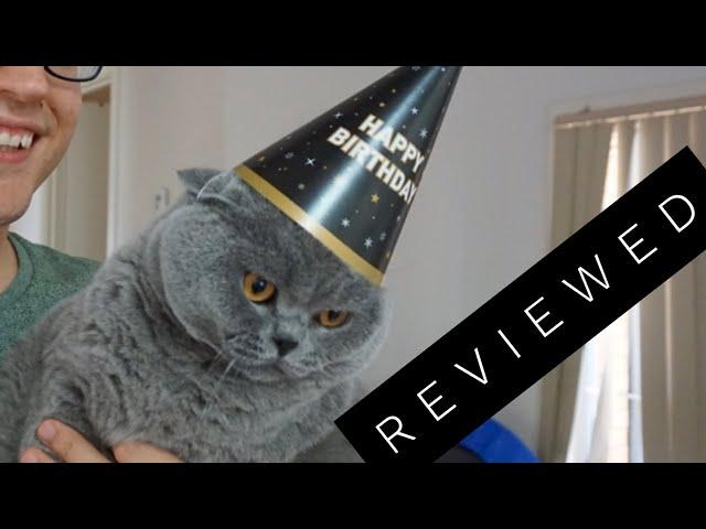 Basil the British Shorthair Cat Review after 3 years