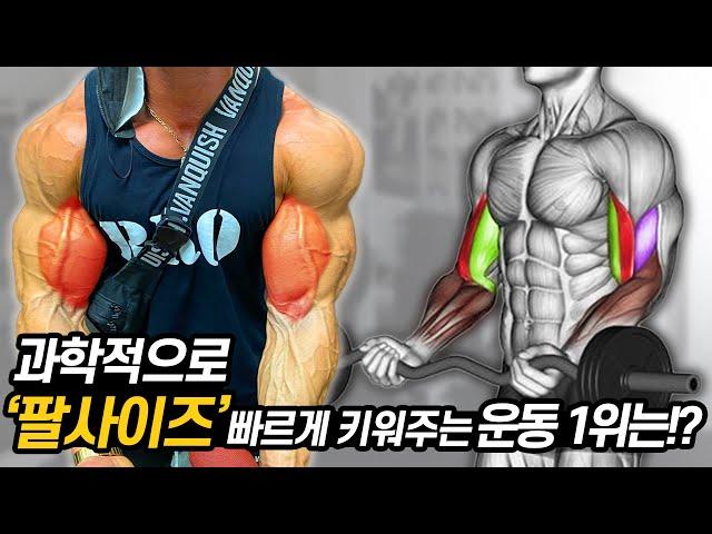 팔근육(알통)을 가장 빠르게 키워주는 운동 1위는!? (덤벨컬vs바벨컬vs해머컬)