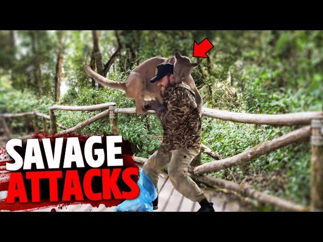 The Most SAVAGE Big Cat Attacks MARATHON 2!