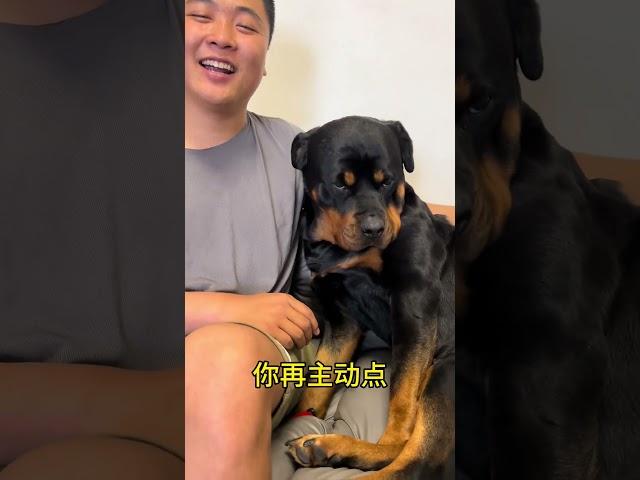 我真不能搭理她 #拉登与阿亮的日常生活
