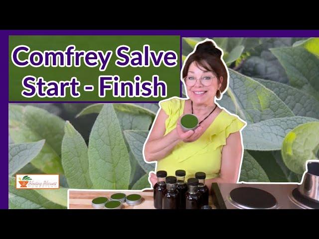 Comfrey Salve Start to Finish